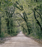 Feedstore Rd Jonesville