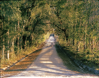 SW 15th Street Jonesville