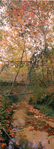 CCCBridge 2