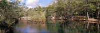 Cenote Escondido (Mayan Blue)