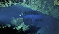 Wakulla Springs Cavern