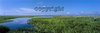 Paynes Prairie