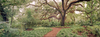 Washington Oaks Gardens
